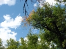 sky.jpg