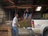 hay.jpg
